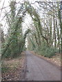 Track to Warren Farm, Chalfont St Giles