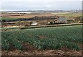 Houses at Lanner Vean