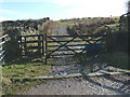 Farm Track in Crawshawbooth