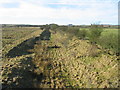 Course of Old Railway, Forestburn Gate