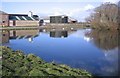 The Swan Pond at Salt Cotes