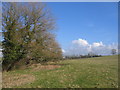 Footpath to Gipsy Hill Farm