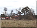 Fields and open air museum, Chalfont St Peter