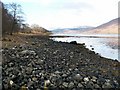 Loch Eil shore line by South Garvan