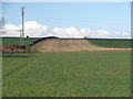 Farmland at Foulby.