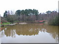 The pond, Savernake Park, Bracknell