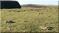 SH8753 : Ancient Stone Rows, Cefnen Wen, Pentrefoelas by Stephen Elwyn RODDICK