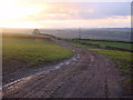 Farm Track, Elslack Moor