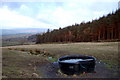 Woods to the east of Clogger Lane Elslack