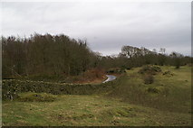 SD3286 : Moss Wood (right) & Black Knott Plantation (left) by David Long