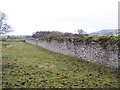 Substantial Wall at Agglethorpe