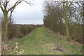 Old lane near Bottoms Farm