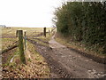 Bridleway from Cofton Church Lane