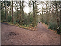 SO9974 : Junction of tracks, Lickey Hills Country Park by Phil Champion