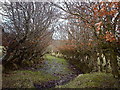 Old Track on Bargane Hill