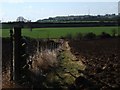 Footpath to Stow Maries