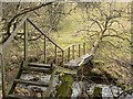 Fallen tree bridge