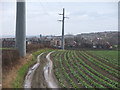 Tubular pylons at Thorpe on the Hill.