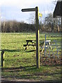 Picnic site in the Cotswold Water Park near Ashton Keynes