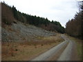 Quarry in Mabie Forest