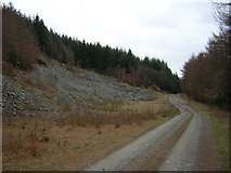NX9271 : Quarry in Mabie Forest by Iain Thompson