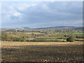 Somerset Farmland