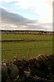 Farmland bordered by dry stone dyke and barbed wire.