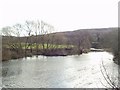 River Aire from Apperley Lane bridge.