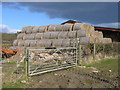 Straw bales and telegraph poles