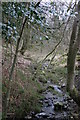 Small Stream on Soulby Fell