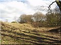 Cragg Hill Quarry, Horsforth