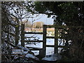 Disused stile