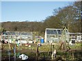 Craggwood Allotments, Horsforth