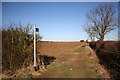 Wilsford Heath footpath