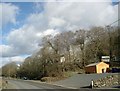 Hillhouse Quarry, through the trees, by the A759