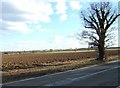 View Towards Purleigh Barns