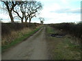 Farm Track east of Bellfield