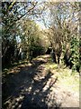 Lane to Hill Green Farm near Tinker