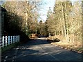 Country Lane through Oak Corner