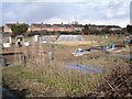 Allotment  gardens near Studley