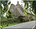 Thatched cottages, Mollington