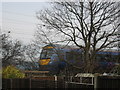 C2C train going past my back garden.