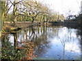 Stanmore: The Fish Pond, Little Common