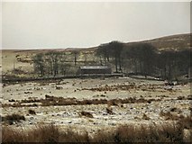 SD6616 : Bromiley Farm by Roger May