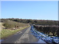 Marsh Lane, Storeton