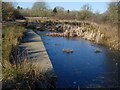 Pond dipping pond