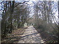 Bovingdon: Holly Hedges Lane