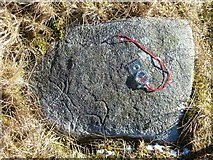 NM8609 : The Roebuck Stone by Patrick Mackie