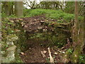 TF1005 : Medieval Hunting Lodge remains near Ashton by Terry Butcher