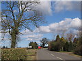 Entering Sutton Cheney